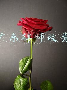 广东律师收费速算公式(比较不同地区的律师收费差异/如何购买法律服务系列谈（4）)