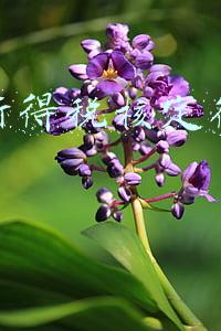 企业所得税核定征收条件