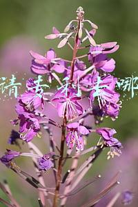 申请专利去哪里