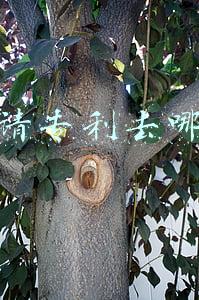 申请专利去哪里