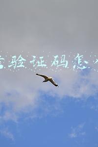 短信验证码怎么弄