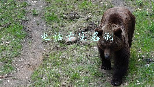 电话卡实名制