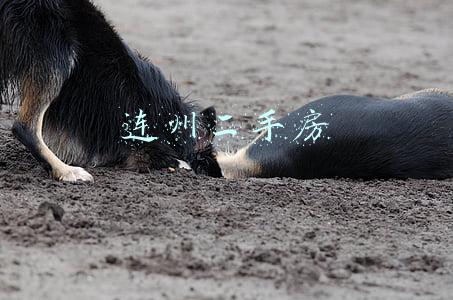 连州二手房