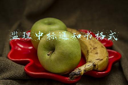 监理中标通知书格式