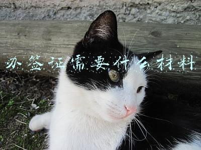 办签证需要什么材料