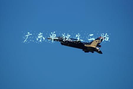 广东单独生二胎
