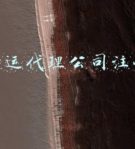 货运代理公司注册
