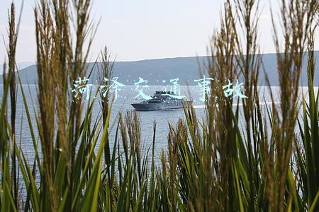 菏泽交通事故