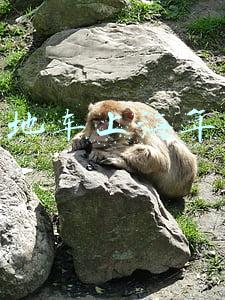 外地车上海年审