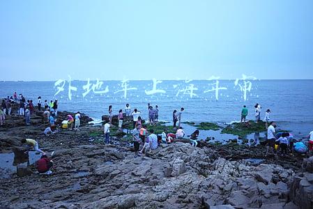 外地车上海年审