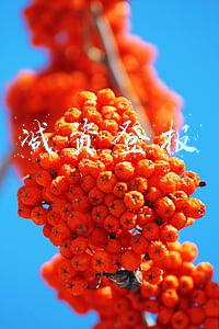 减资公告在报纸上怎么登(优化营商环境｜减资公告免费发布 降低成本群众满意)