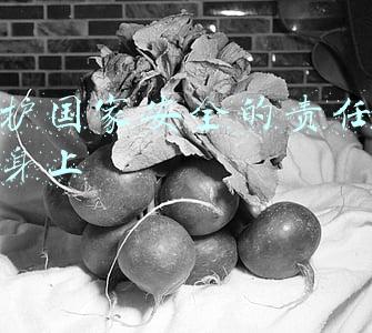 维护国家安全的责任在谁谁身上(坚持维护国家安全不动摇)