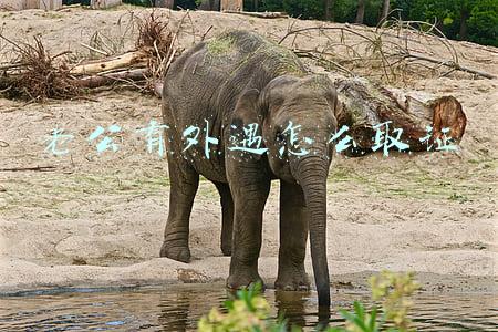 老公有外遇怎么取证