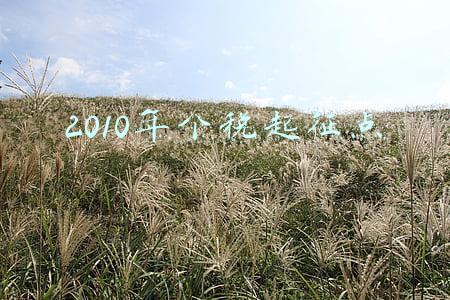 2010年个税起征点调整(全国人大代表董明珠：“80后”经济压力大 建议个税起征点提高至一万元)