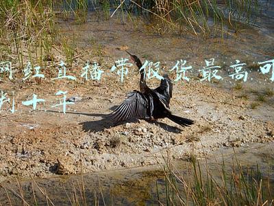 网红直播带假货最高可判十年