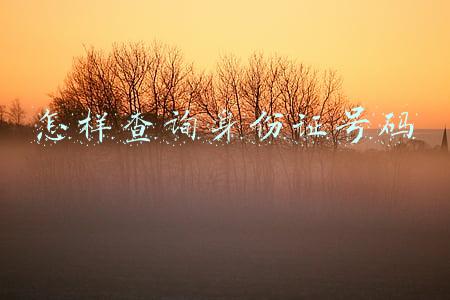 怎样查询身份证号码
