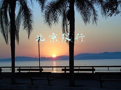 北京限行