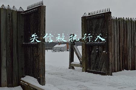 失信被执行人