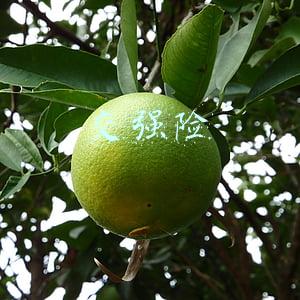 交强险