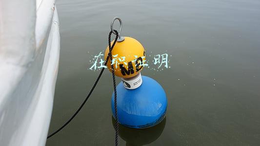 在职证明