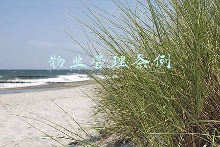 物业管理条例