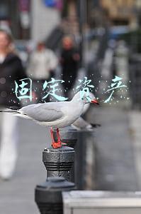 固定资产
