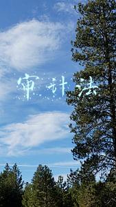 审计法