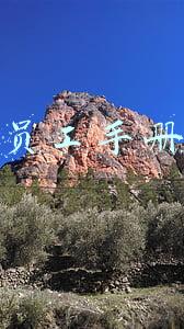 员工手册