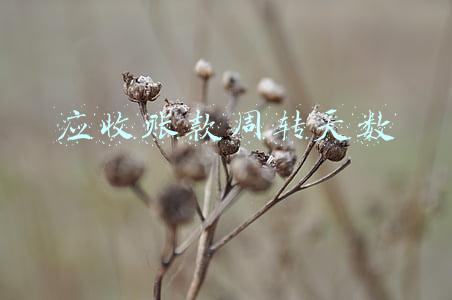 应收账款周转天数