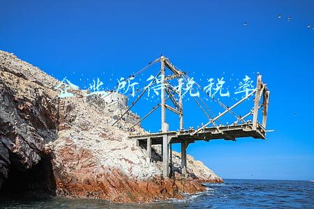 企业所得税税率
