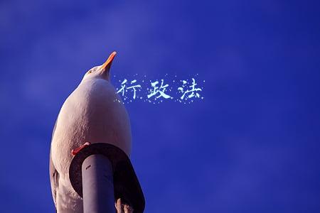 行政法