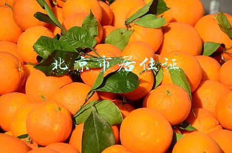 北京市居住证续签(北京市工作居住证到期还没续签？手把手带你准备续签材料)