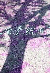 固定资产折旧年限