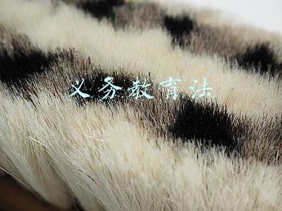 义务教育法
