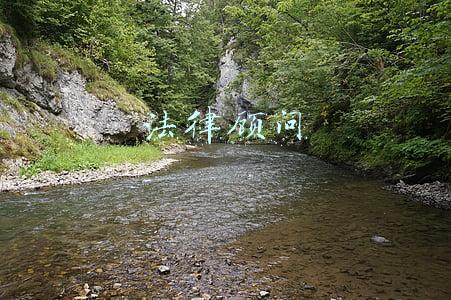 法律顾问