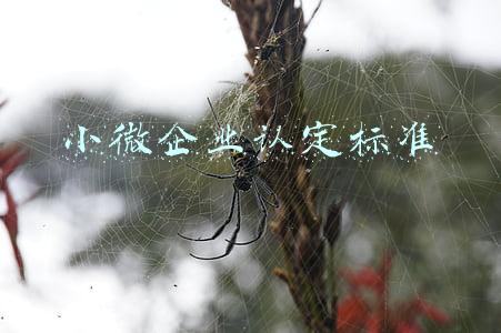 小微企业认定标准