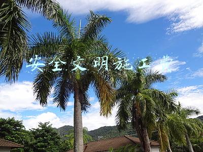 安全文明施工费