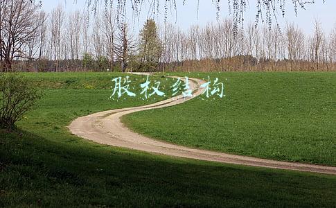 股权结构