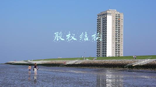 股权结构