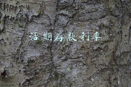 活期存款利率