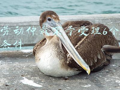 劳动仲裁不予受理6个条件