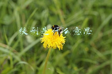 缓刑是什么意思