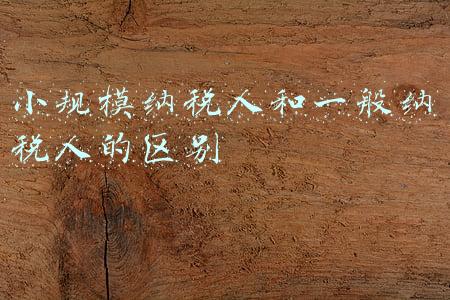 小规模纳税人和一般纳税人的区别2021(小规模纳税人和一般纳税人应该如何区分呢？)