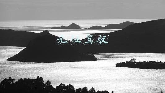 无证驾驶