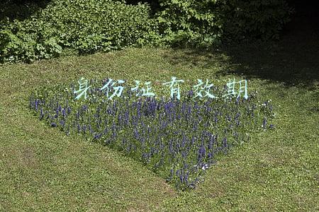 身份证有效期