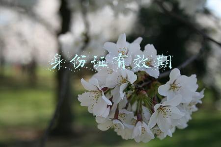 身份证有效期