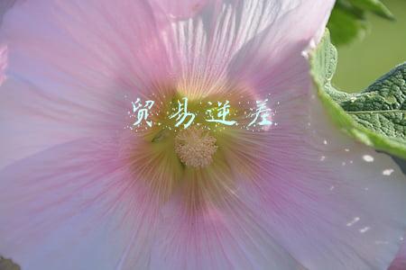 贸易逆差