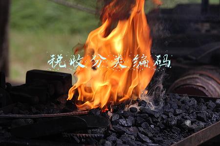 税收分类编码