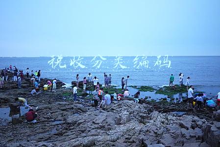 税收分类编码2019(税收分类编码是什么？有哪些适用范围？)