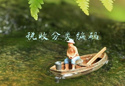 税收分类编码